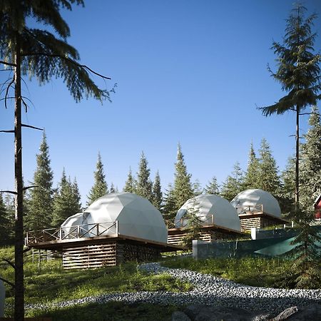 Вілла Gm Eco Bubble Яблуниця Екстер'єр фото